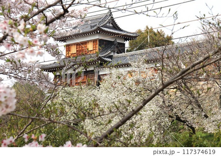 京奈和自転車道の景色 京奈和自転車道の景色 117374619