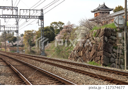京奈和自転車道の景色 京奈和自転車道の景色 117374677