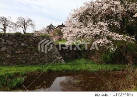 京奈和自転車道の景色 京奈和自転車道の景色 117374678