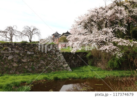 京奈和自転車道の景色 117374679