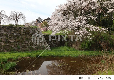 京奈和自転車道の景色 京奈和自転車道の景色 117374680