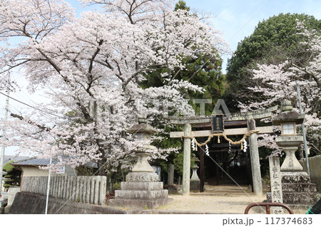 京奈和自転車道の景色 117374683