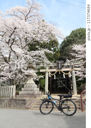 京奈和自転車道の景色 京奈和自転車道の景色 117374684