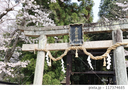 京奈和自転車道の景色 117374685