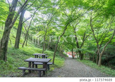 三重県四日市市 青もみじと呼ばれる新緑が美しい宮妻峡の散策路 三重県四日市市 青もみじと呼ばれる新緑が美しい宮妻峡の散策路 117374689