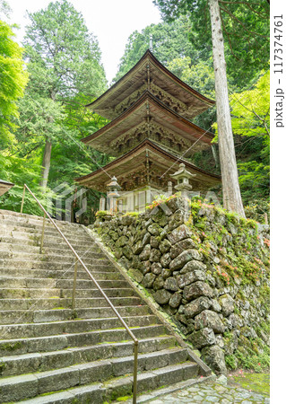 岐阜県揖斐川町　西美濃三十三霊場第一札所の新緑の横蔵寺の三重塔 117374761