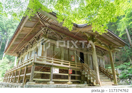 岐阜県揖斐川町　西美濃三十三霊場第一札所の新緑の横蔵寺の本堂 117374762
