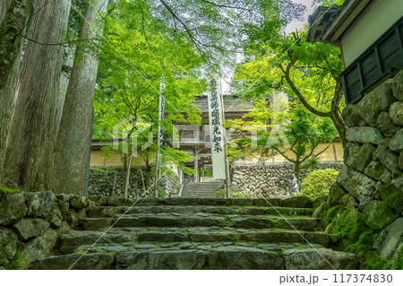 岐阜県揖斐川町 西美濃三十三霊場第一札所の新緑の横蔵寺の入り口 岐阜県揖斐川町 西美濃三十三霊場第一札所の新緑の横蔵寺の入り口 117374830