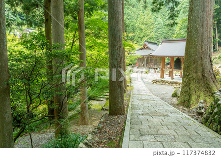 岐阜県揖斐川町 西美濃三十三霊場第一札所の新緑の横蔵寺の参道 岐阜県揖斐川町 西美濃三十三霊場第一札所の新緑の横蔵寺の参道 117374832