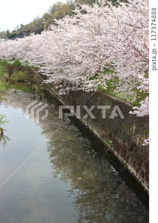 京奈和自転車道の景色 117374888