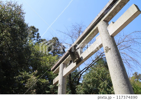 京奈和自転車道の景色 117374890