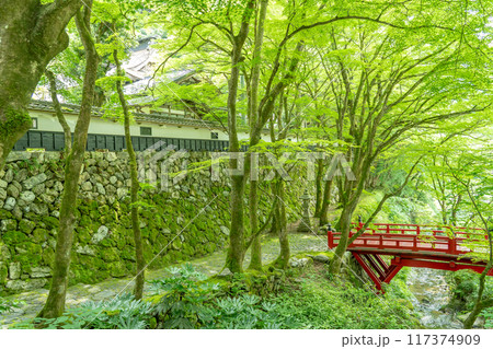 岐阜県揖斐川町　西美濃三十三霊場第一札所の新緑の横蔵寺の赤い橋 117374909