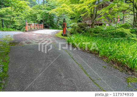 岐阜県揖斐川町　西美濃三十三霊場第一札所の新緑の横蔵寺の山王橋 117374910