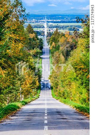 北海道 天に続く道 秋 117374943