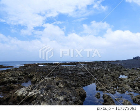 三宅島の海岸の風景 6月 三宅島の海岸の風景 6月 117375063