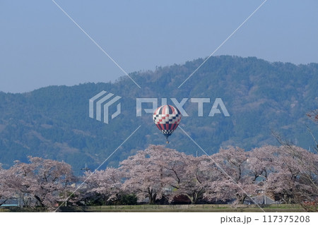 春空に浮かぶ熱気球 春空に浮かぶ熱気球 117375208