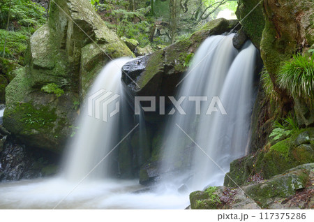福島県の滝川渓谷、おぼろ滝 117375286