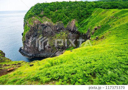 断崖絶壁をオホーツク海へ流れ落ちる繊細なフレペの滝(乙女の涙)と断崖上の宇登呂灯台 断崖絶壁をオホーツク海へ流れ落ちる繊細なフレペの滝(乙女の涙)と断崖上の宇登呂灯台 117375370