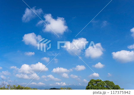 夏の青空と白い雲《背景素材》 117375942