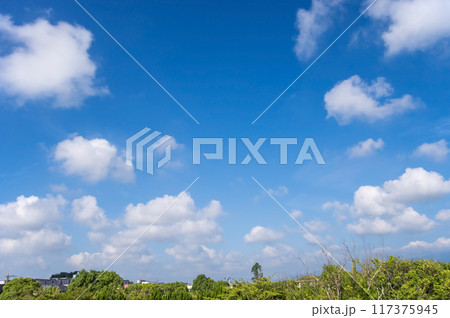 夏の青空と白い雲《背景素材》 117375945