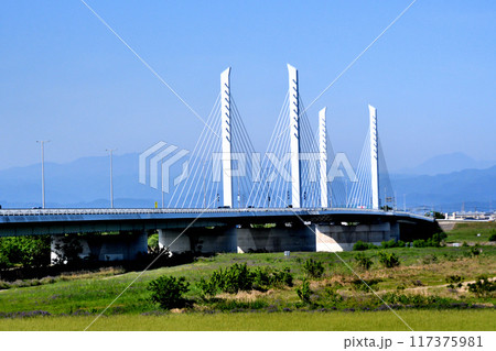 利根川の右岸下流の河川敷から見た坂東大橋　 117375981