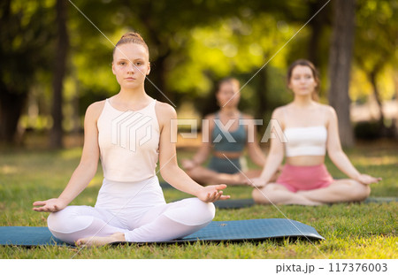 Group of young women doing yoga in lotus pose 117376003