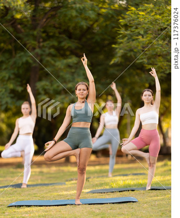 Group of young women doing yoga in tree pose Group of young women doing yoga in tree pose 117376024
