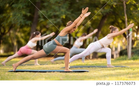 Group of young women doing yoga in park 117376073
