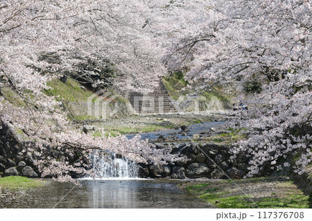 府道亀岡園部線から見る春の七谷川 府道亀岡園部線から見る春の七谷川 117376708