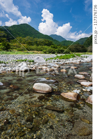 夏の山景色 日本の清流 綺麗な川 夏の山景色 日本の清流 綺麗な川 117376736