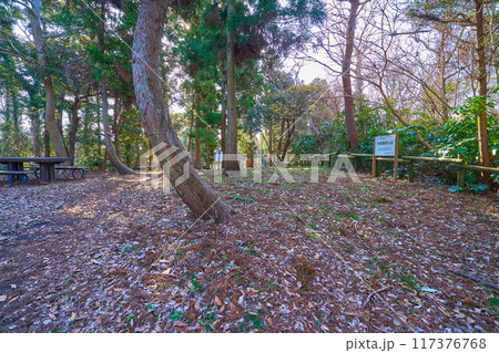 神奈川県葉山町の真名瀬ハイキングコース(はやま三ヶ岡山緑地 真名瀬コース)の西峰疎林広場 神奈川県葉山町の真名瀬ハイキングコース(はやま三ヶ岡山緑地 真名瀬コース)の西峰疎林広場 117376768