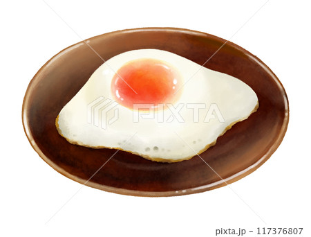 お皿に乗った目玉焼きのアナログタッチイラスト お皿に乗った目玉焼きのアナログタッチイラスト 117376807