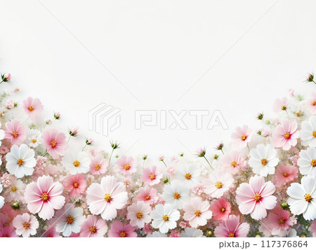 秋 コスモス 背景 コピースペース 秋 コスモス 背景 コピースペース 117376864