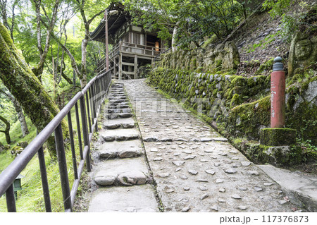 京都 愛宕念仏寺(おたぎねんぶつじ) 京都 愛宕念仏寺(おたぎねんぶつじ) 117376873