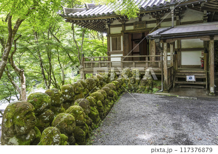 京都 愛宕念仏寺(おたぎねんぶつじ) 京都 愛宕念仏寺(おたぎねんぶつじ) 117376879