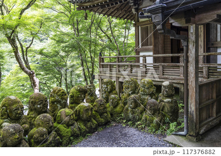 京都　愛宕念仏寺（おたぎねんぶつじ） 117376882