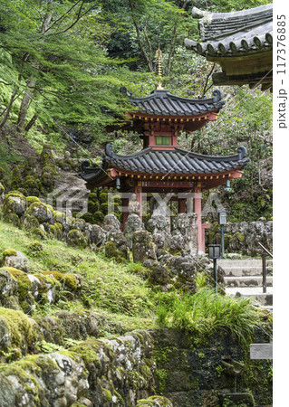 京都 愛宕念仏寺(おたぎねんぶつじ) 京都 愛宕念仏寺(おたぎねんぶつじ) 117376885