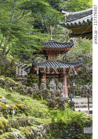 京都　愛宕念仏寺（おたぎねんぶつじ） 117376887