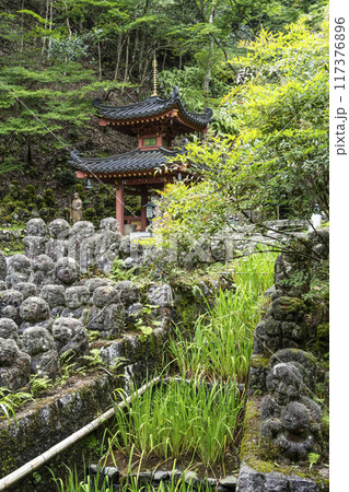 京都 愛宕念仏寺(おたぎねんぶつじ) 京都 愛宕念仏寺(おたぎねんぶつじ) 117376896