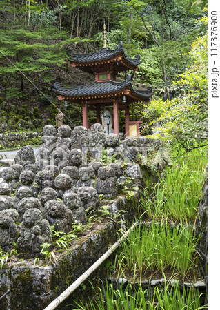 京都 愛宕念仏寺(おたぎねんぶつじ) 京都 愛宕念仏寺(おたぎねんぶつじ) 117376900