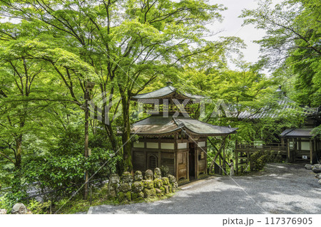京都　愛宕念仏寺（おたぎねんぶつじ）　ふれ愛観音堂 117376905