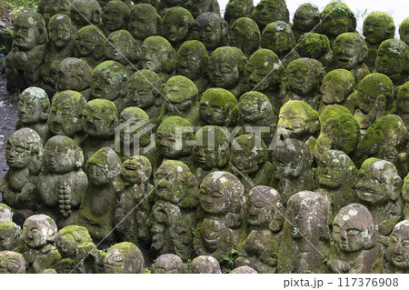 京都　愛宕念仏寺（おたぎねんぶつじ） 117376908