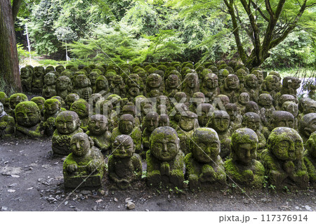 京都　愛宕念仏寺（おたぎねんぶつじ） 117376914
