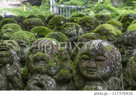 京都 愛宕念仏寺(おたぎねんぶつじ) 京都 愛宕念仏寺(おたぎねんぶつじ) 117376916