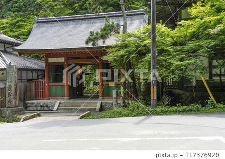 京都　愛宕念仏寺（おたぎねんぶつじ）仁王門 117376920