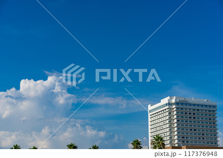 青空と白い雲と高層マンション 青空と白い雲と高層マンション 117376948