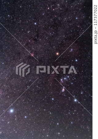 オリオン座とシリウス 117377022