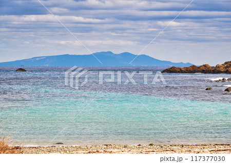 爪木崎　美しい青い海　（静岡県下田市） 117377030