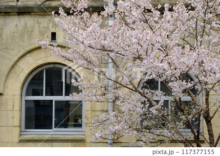 旧成徳中学校跡のアーチ窓 117377155