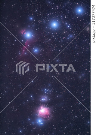 オリオン大星雲と馬頭星雲・三ツ星 117377474